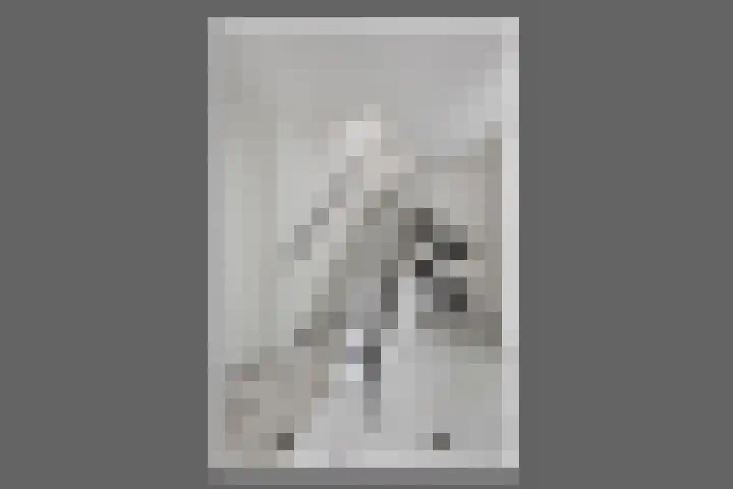 Jacob Groenplantsoen 1 Amsterdam thumbnail 22