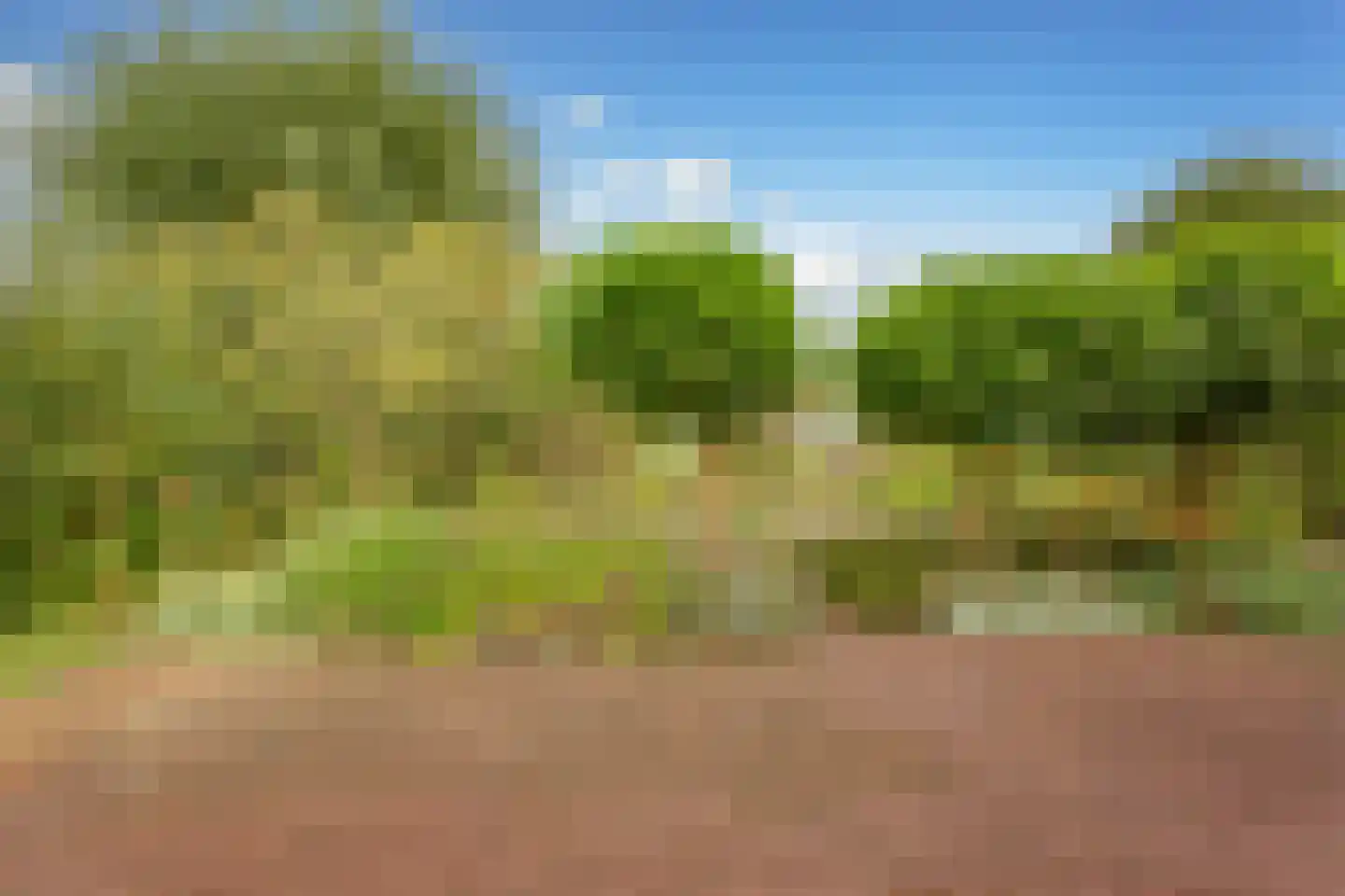 Jacob Groenplantsoen 1 Amsterdam thumbnail 42