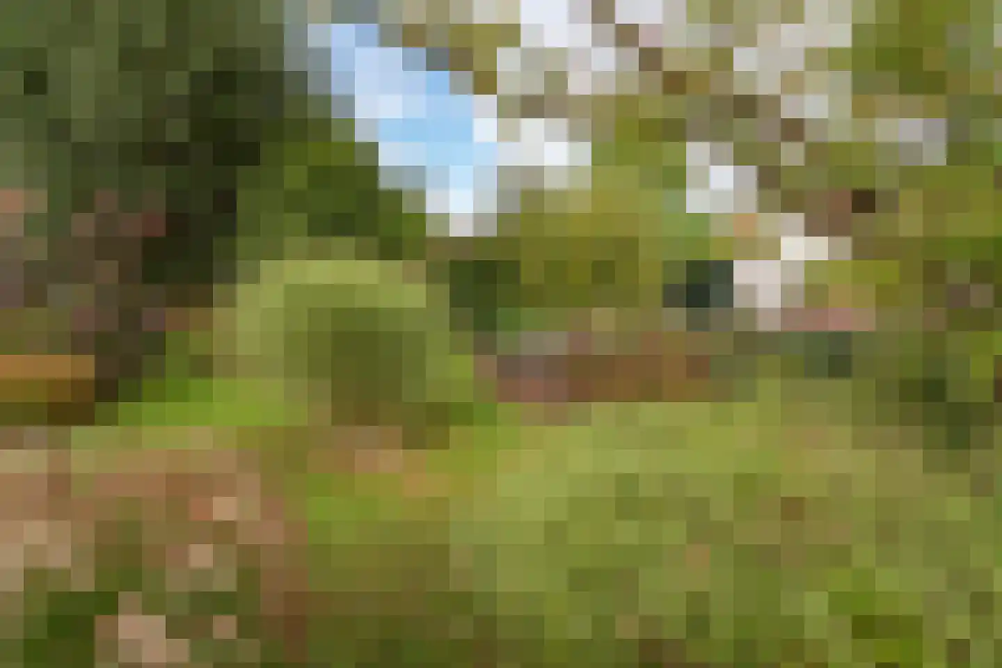 Jacob Groenplantsoen 1 Amsterdam thumbnail 43