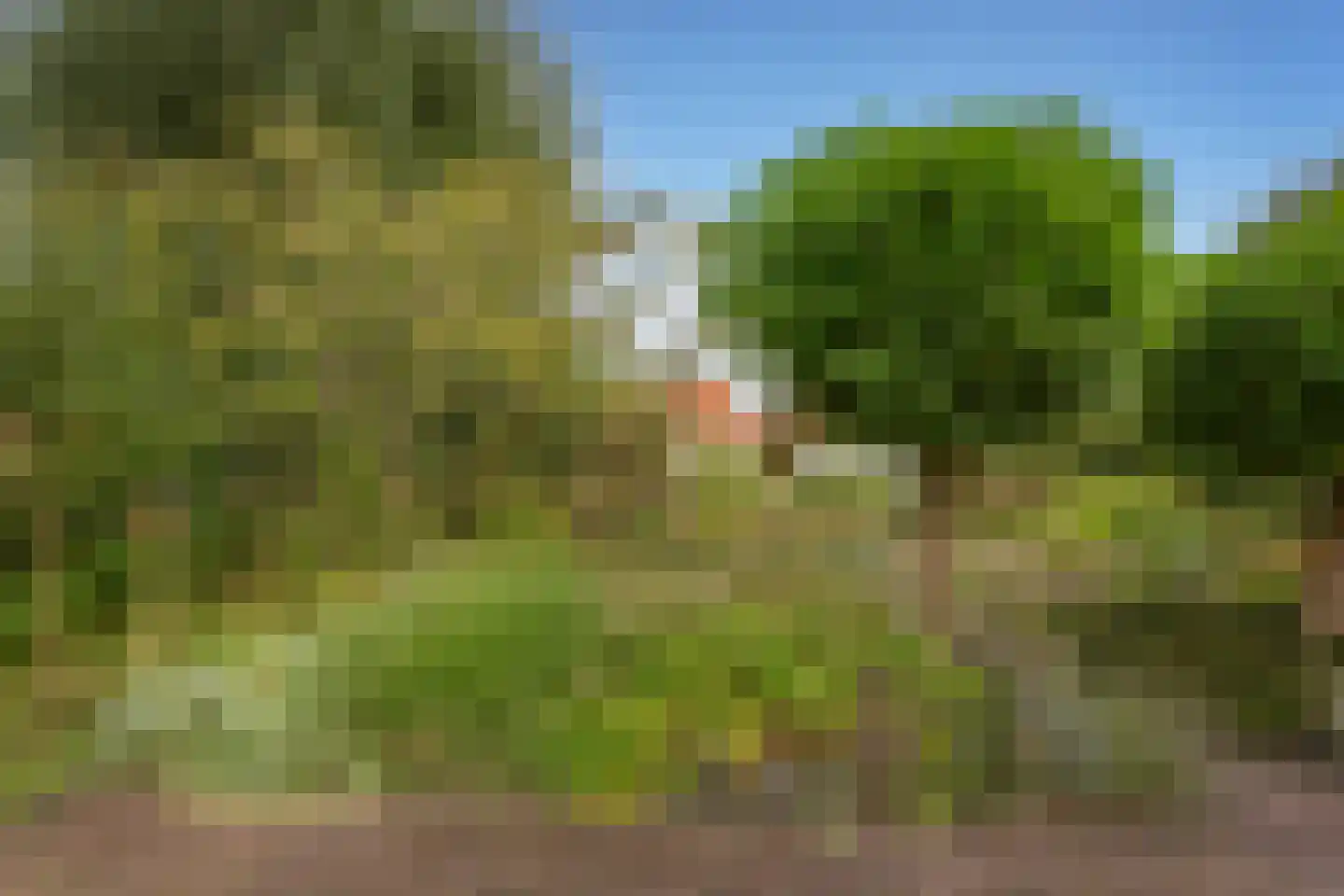 Jacob Groenplantsoen 1 Amsterdam thumbnail 44