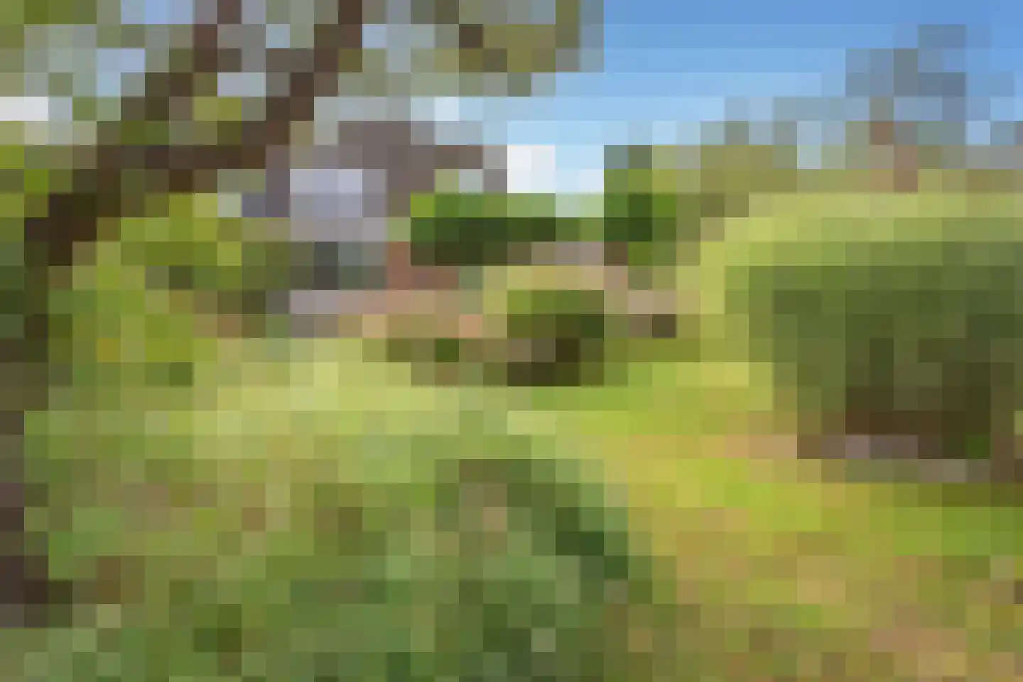Jacob Groenplantsoen 1 Amsterdam thumbnail 45