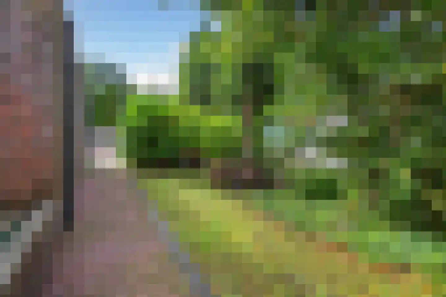Jacob Groenplantsoen 1 Amsterdam thumbnail 46