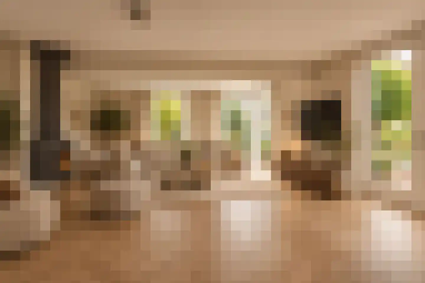 Jacob Groenplantsoen 1 Amsterdam thumbnail 6