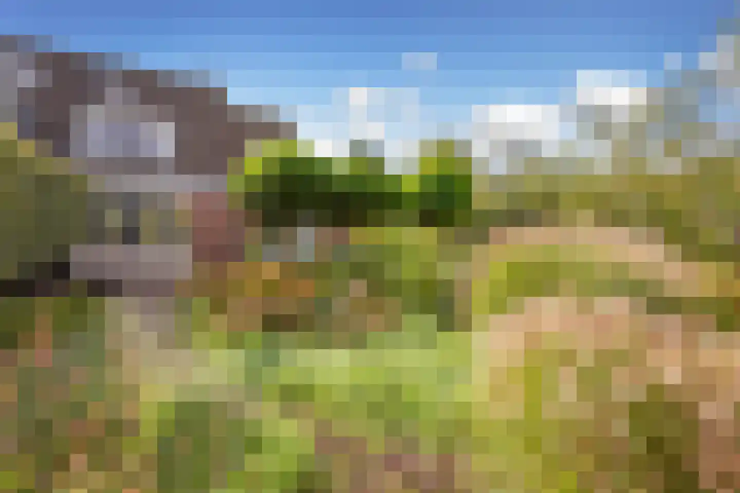 Jacob Groenplantsoen 1 Amsterdam thumbnail 7
