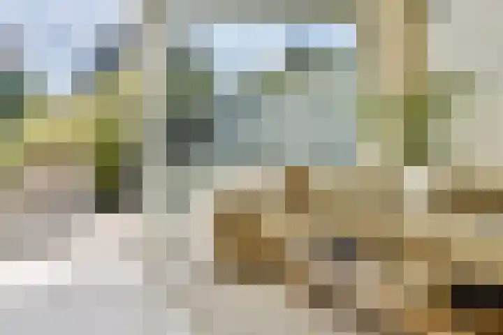 Jacob Groenplantsoen 24 Amsterdam thumbnail 14