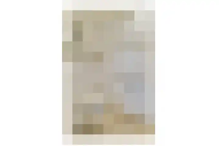 Jacob Groenplantsoen 24 Amsterdam thumbnail 19