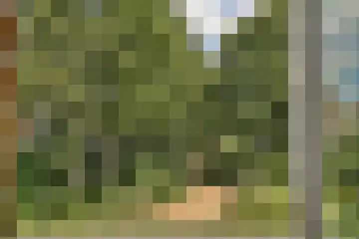 Jacob Groenplantsoen 24 Amsterdam thumbnail 22