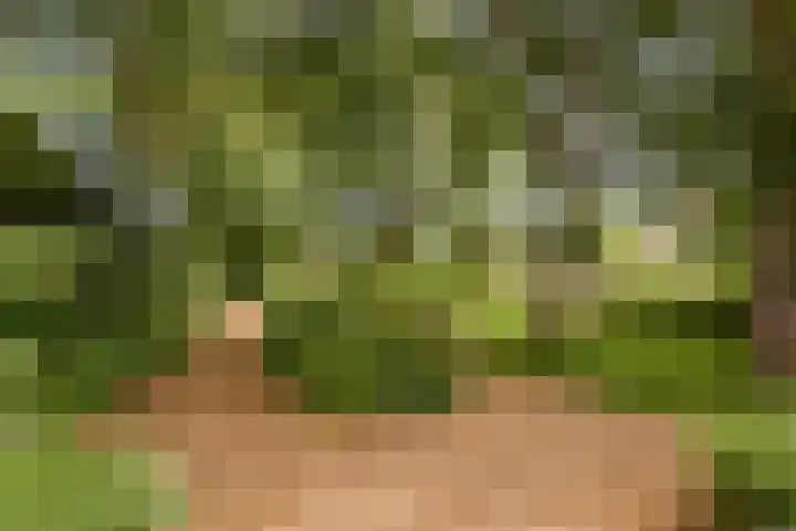 Jacob Groenplantsoen 24 Amsterdam thumbnail 35