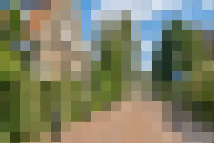 Jacob Groenplantsoen 24 Amsterdam thumbnail 36