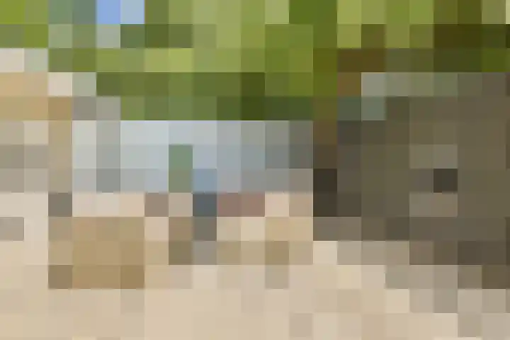 Jacob Groenplantsoen 24 Amsterdam thumbnail 4