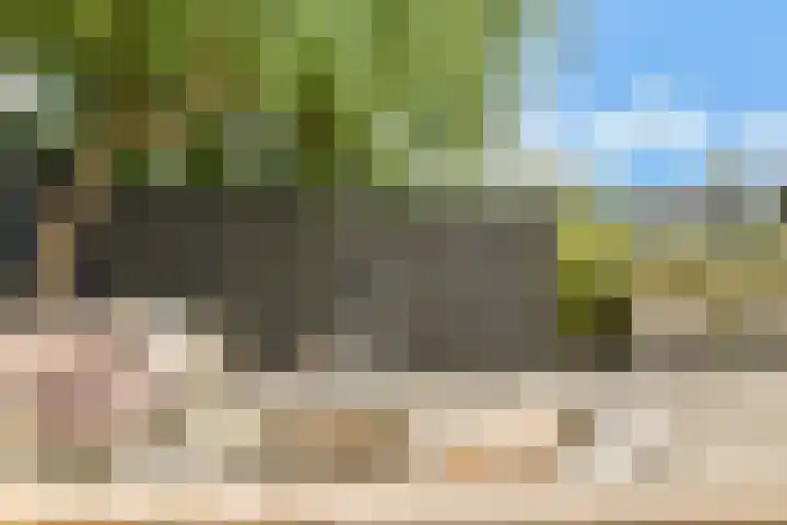 Jacob Groenplantsoen 24 Amsterdam thumbnail 5