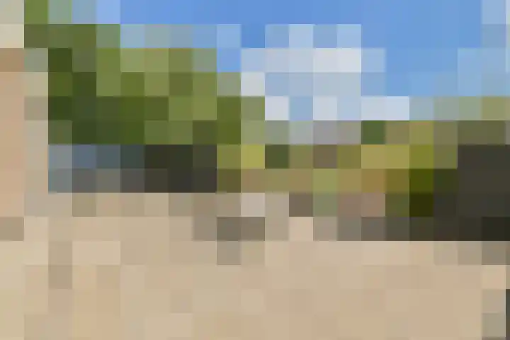 Jacob Groenplantsoen 24 Amsterdam thumbnail 6