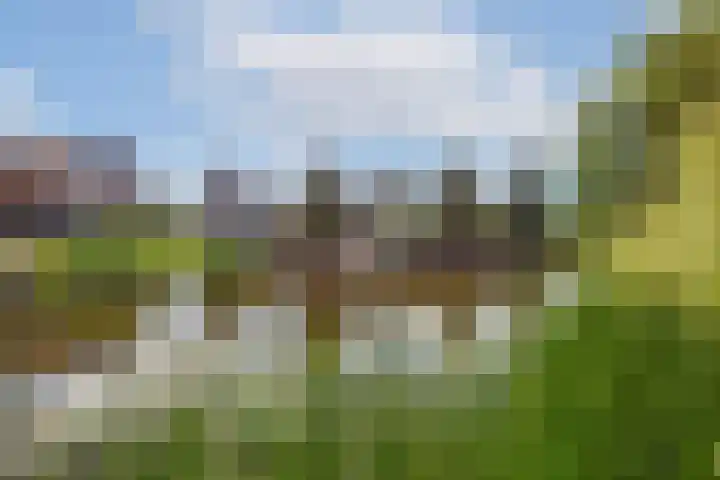 Jacob Groenplantsoen 24 Amsterdam thumbnail 7