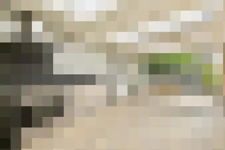 Jacob Groenplantsoen 24 Amsterdam thumbnail 8