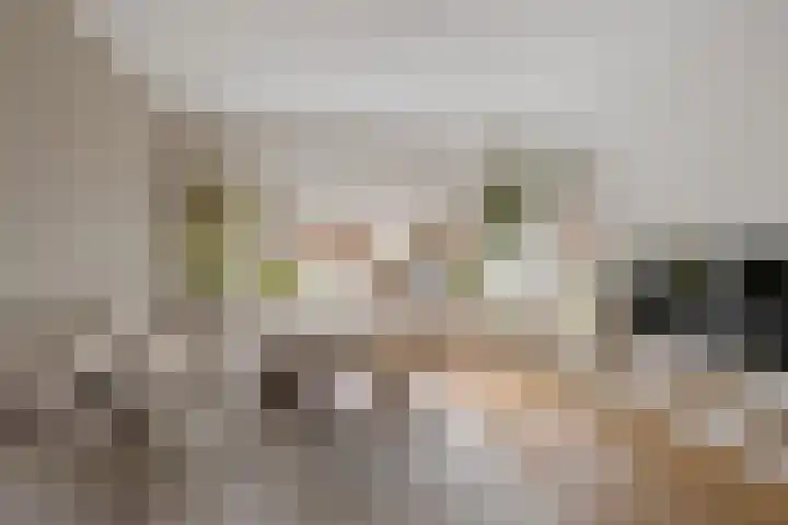 Jacob Hepkemastraat 11 Heerenveen thumbnail 11