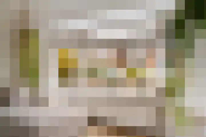Jacob Hepkemastraat 11 Heerenveen thumbnail 12