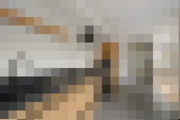 Jacob Hepkemastraat 11 Heerenveen thumbnail 15