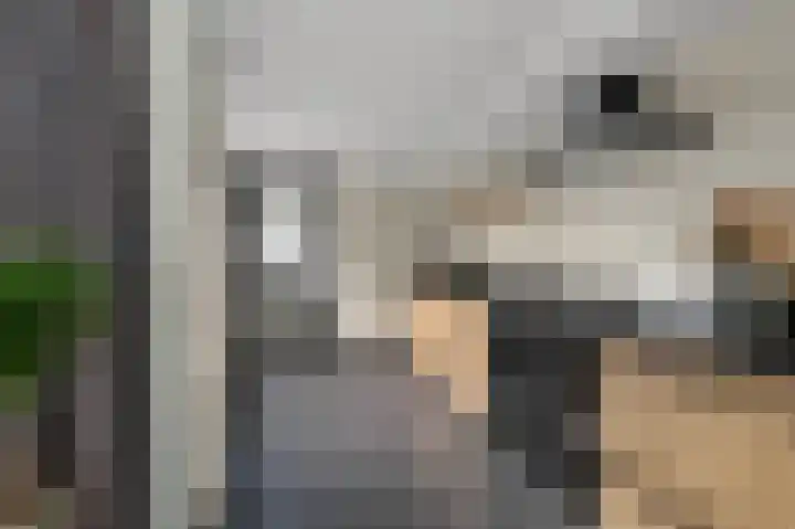 Jacob Hepkemastraat 11 Heerenveen thumbnail 16