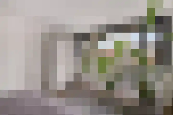Jacob Hepkemastraat 11 Heerenveen thumbnail 21