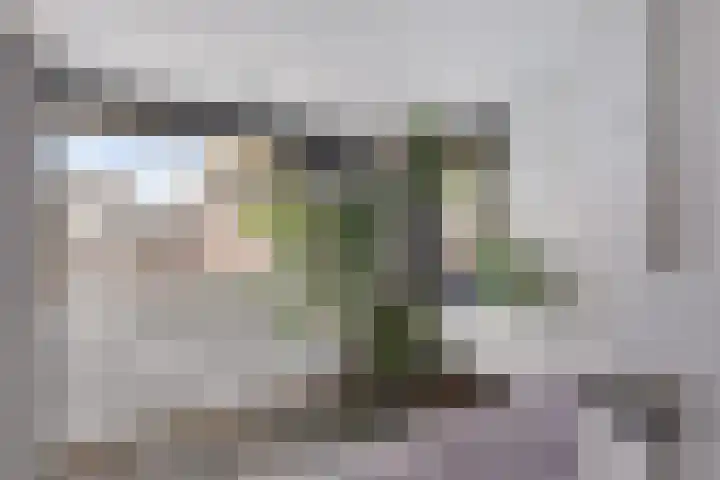 Jacob Hepkemastraat 11 Heerenveen thumbnail 22