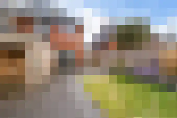 Jacob Hepkemastraat 11 Heerenveen thumbnail 30