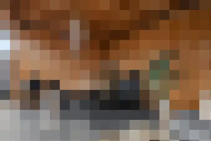 Jacob Hepkemastraat 11 Heerenveen thumbnail 36