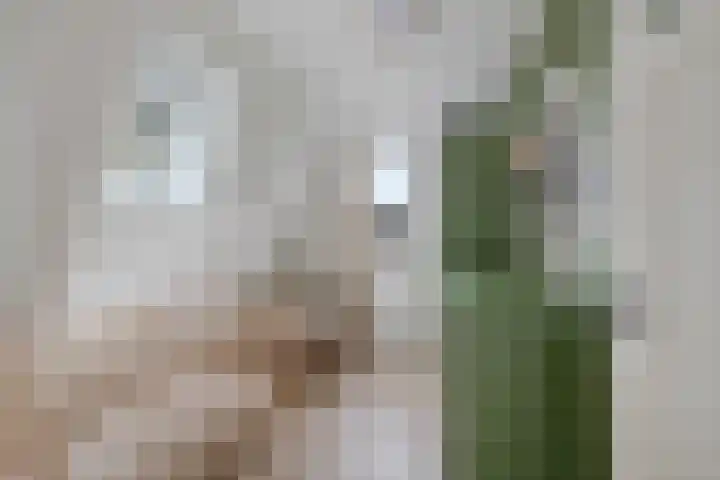 Jacob Hepkemastraat 12 Heerenveen thumbnail 30