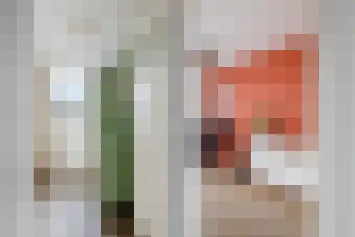 Jacob Hepkemastraat 12 Heerenveen thumbnail 32