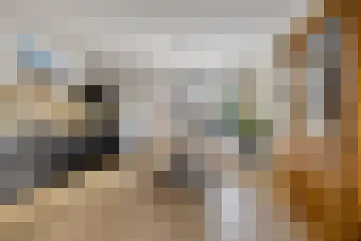 Jacob Hepkemastraat 12 Heerenveen thumbnail 9