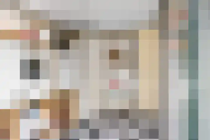Jacob Hepkemastraat 19 Heerenveen thumbnail 21