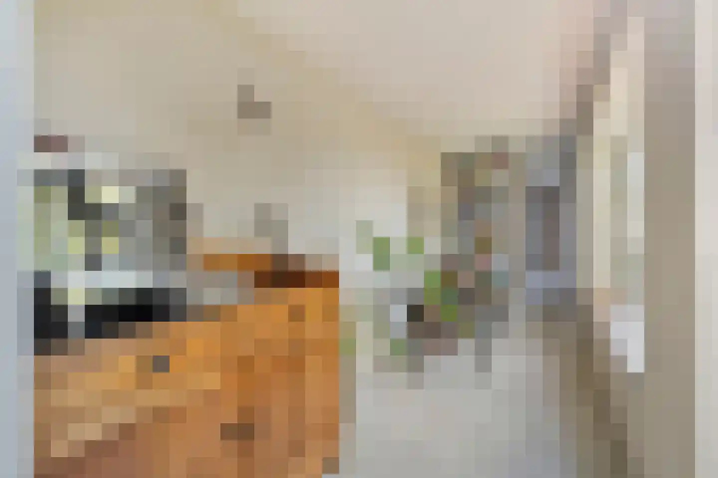 Jacob Honigstraat 33 Amsterdam thumbnail 22