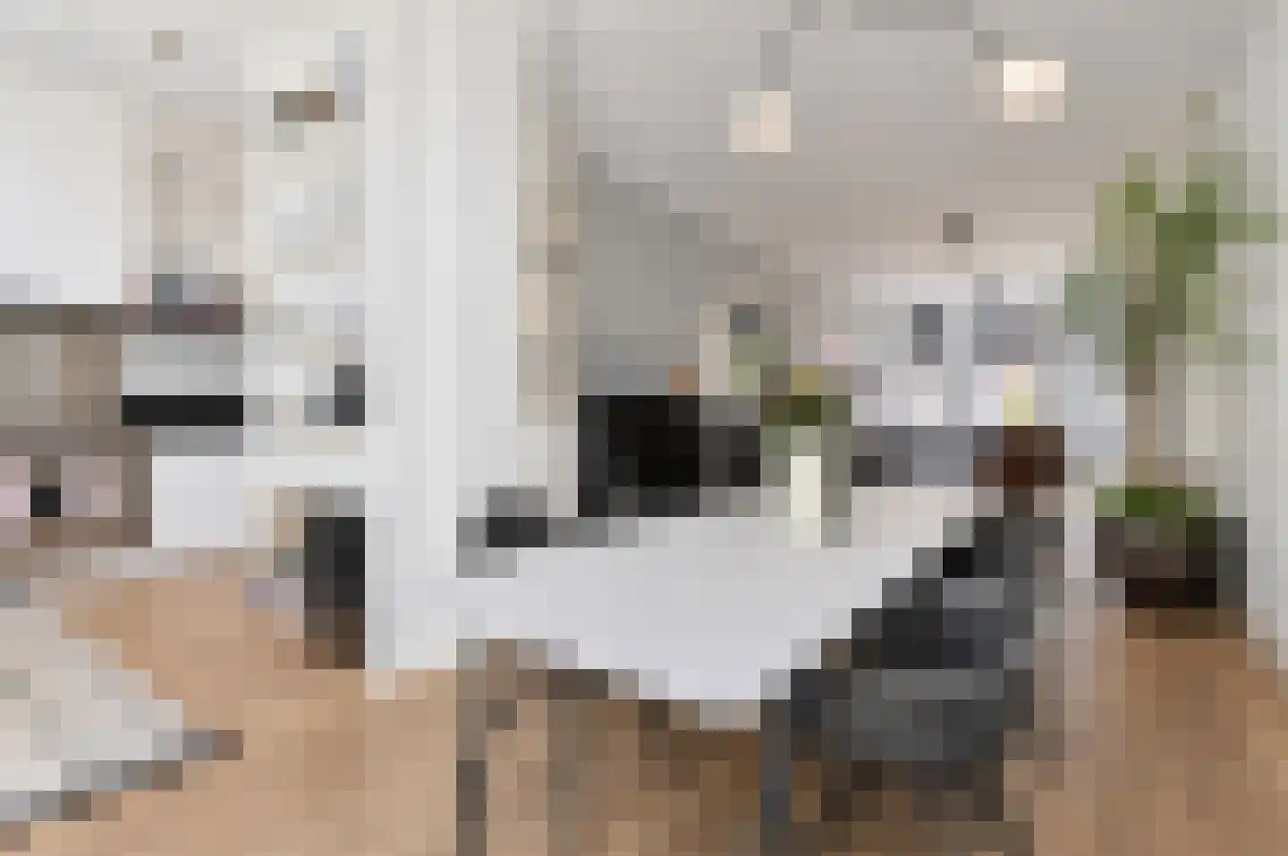 Jacob Hopstraat 10 Den Haag thumbnail 16