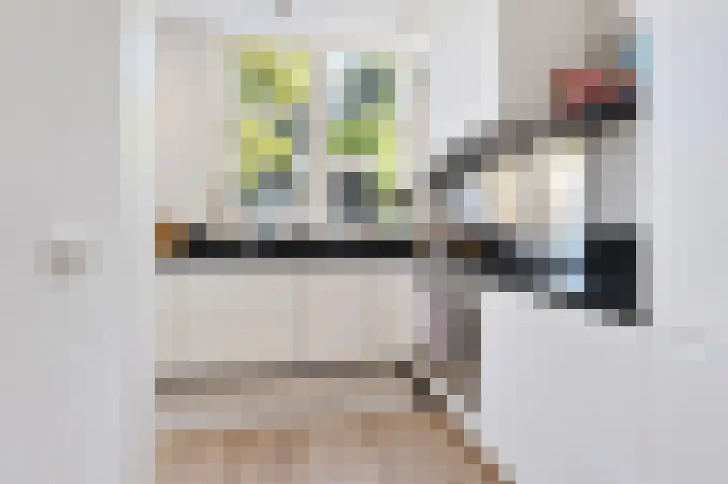 Jacob Hopstraat 10 Den Haag thumbnail 19