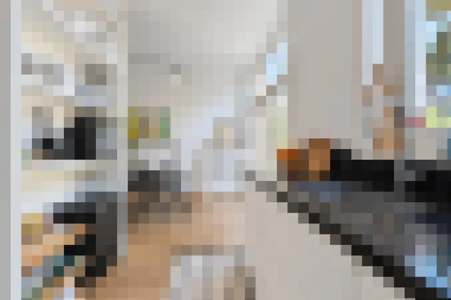 Jacob Hopstraat 10 Den Haag thumbnail 21