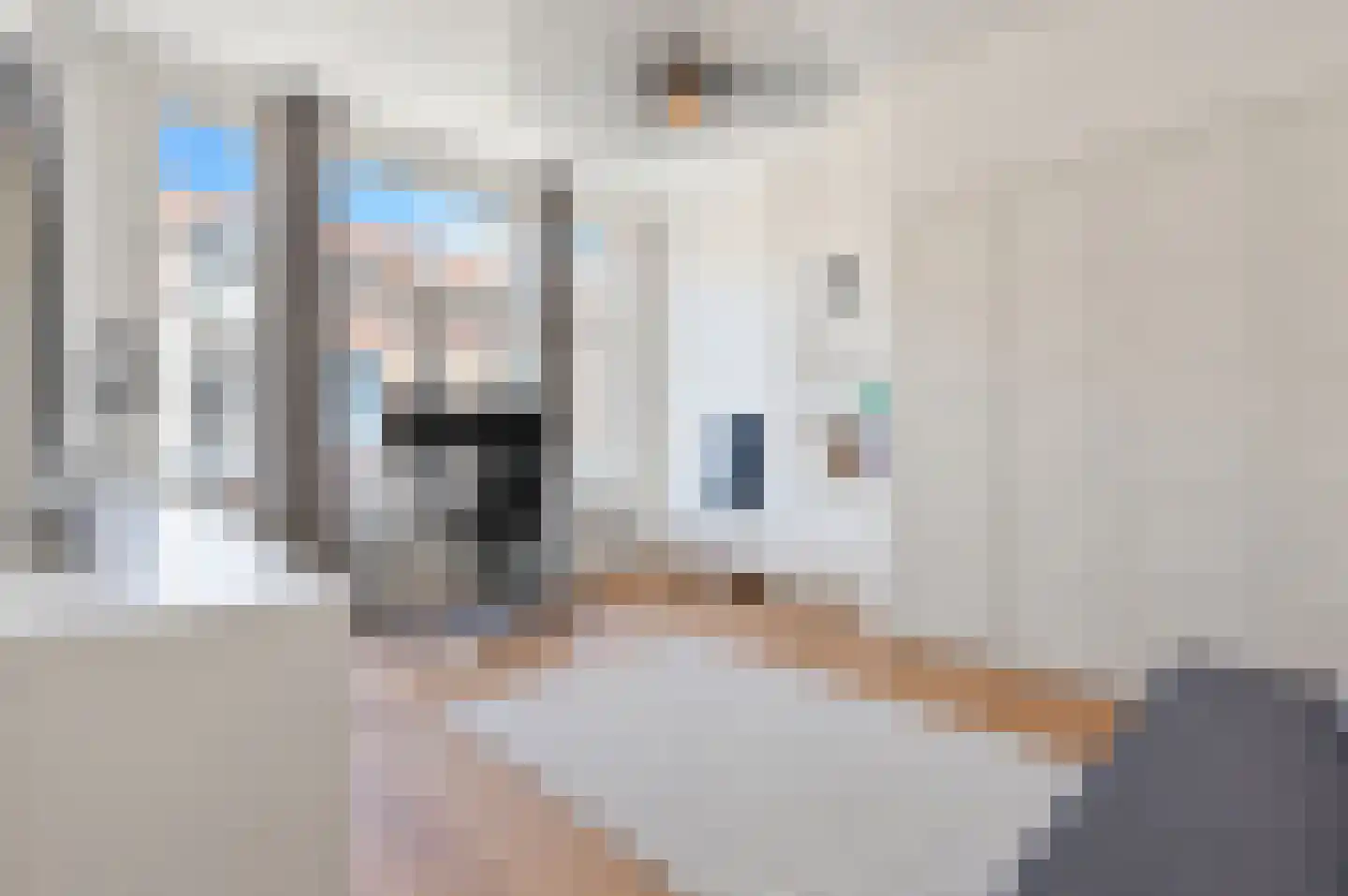 Jacob Hopstraat 10 Den Haag thumbnail 35