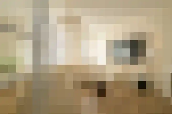 Jacob Hopstraat 43 Den Haag thumbnail 6