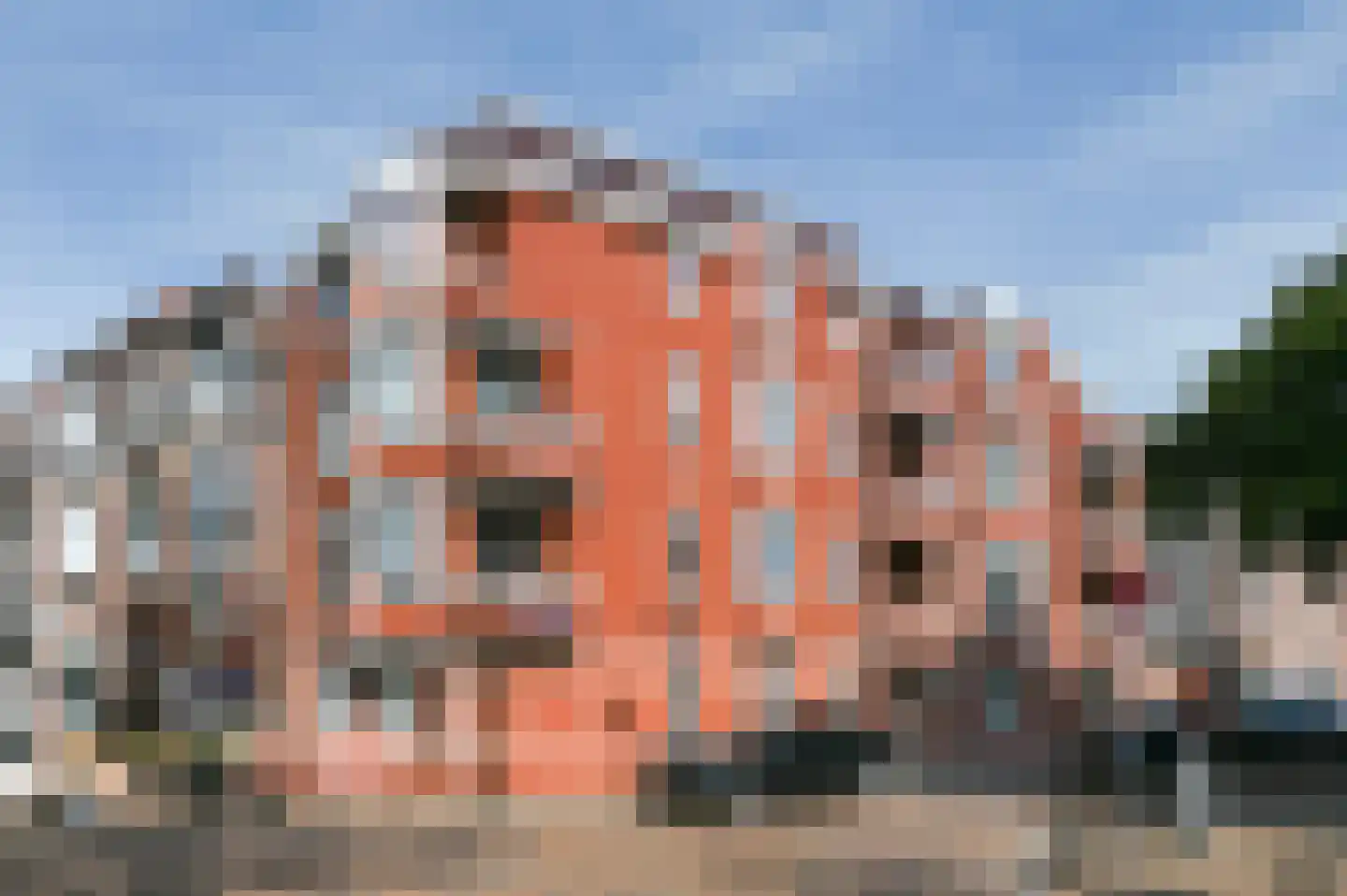 Jacob Hopstraat 55 Den Haag thumbnail 27