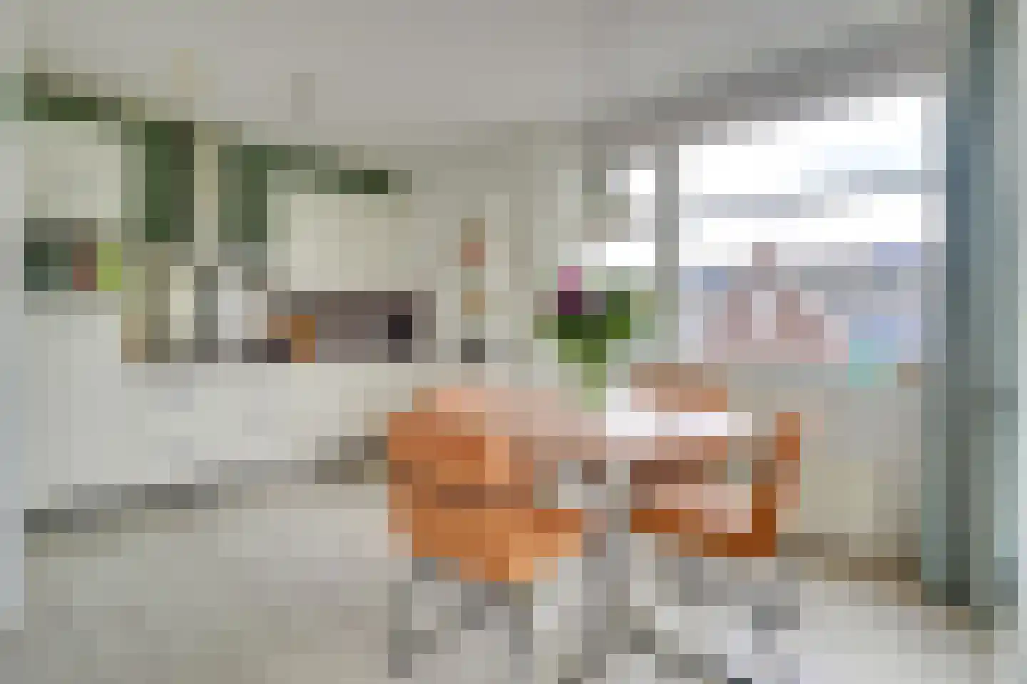 Jacob Jonkerlaan 14 Utrecht thumbnail 9