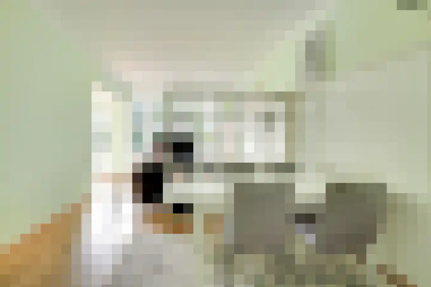 Jacob Jonkerlaan 2 Utrecht thumbnail 11