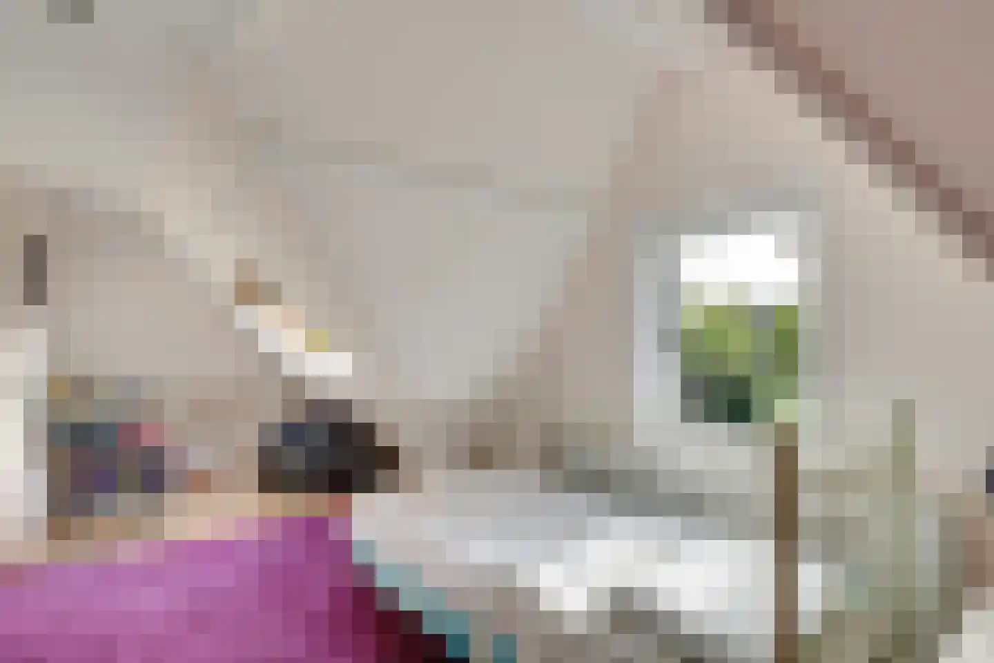 Jacob Jonkerlaan 2 Utrecht thumbnail 38