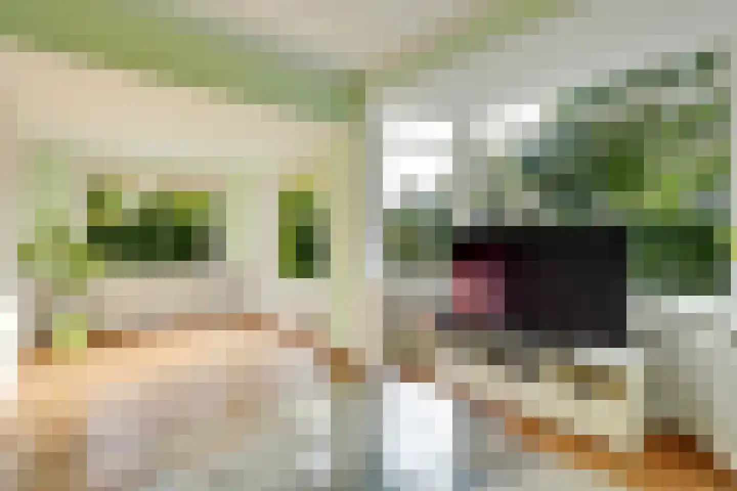 Jacob Jonkerlaan 2 Utrecht thumbnail 6