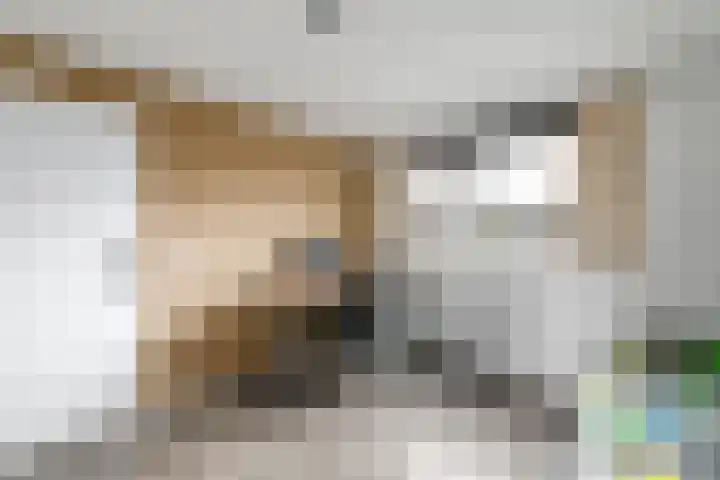 Jacob Jordaensstraat 15 Wolvega thumbnail 19