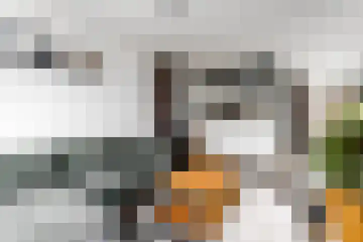 Jacob Jordaensstraat 15 Wolvega thumbnail 4