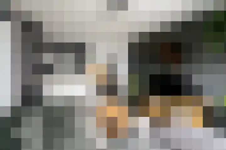 Jacob Jordaensstraat 15 Wolvega thumbnail 5