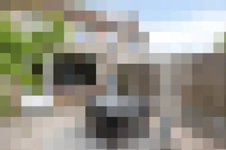 Jacob Jordaensstraat 3 Bergen op Zoom thumbnail 22