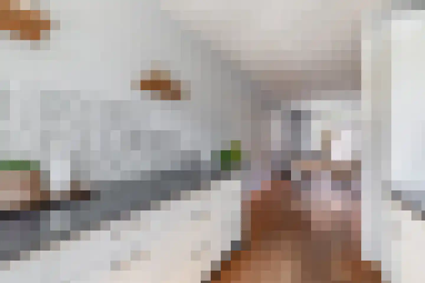 Jacob Jordaensstraat 5 Bergen op Zoom thumbnail 8