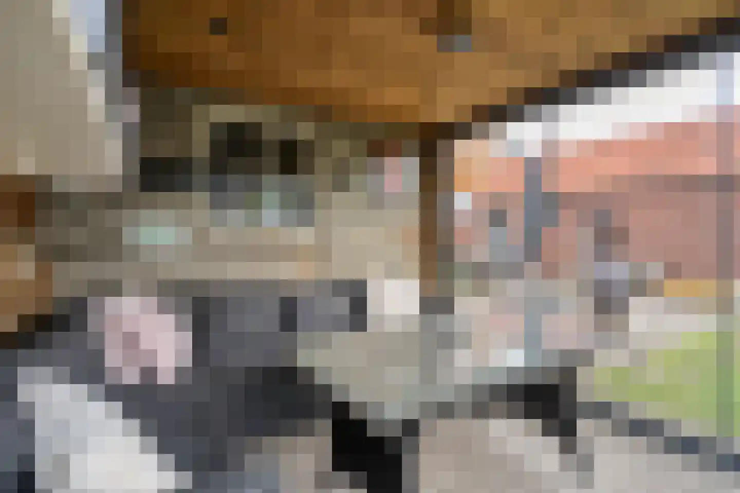 Jacob Kapteynstraat 13 Hellendoorn thumbnail 29
