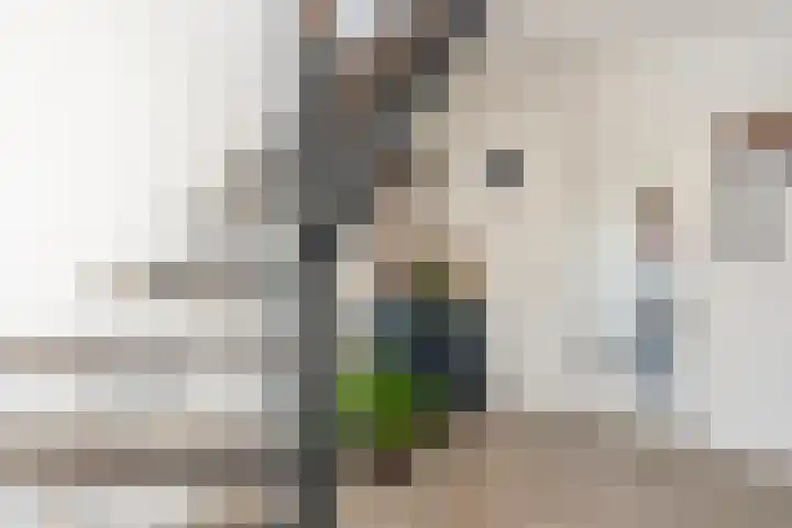 Jacob Katsstraat 11 Alteveer thumbnail 11