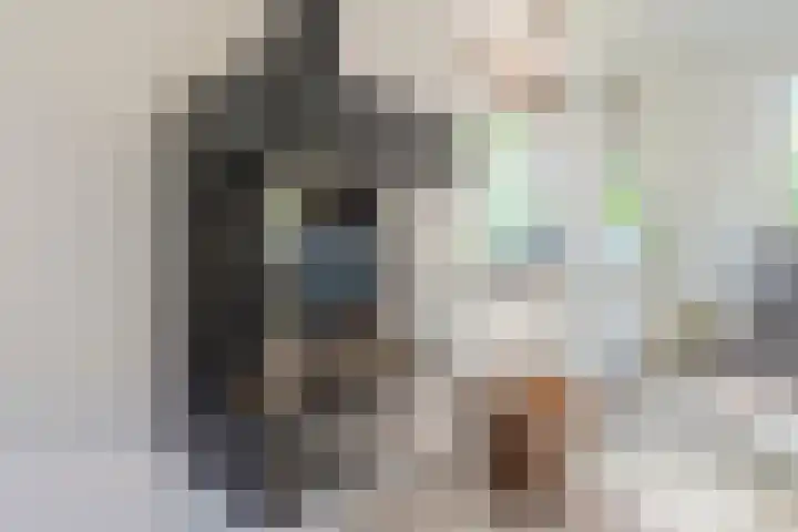 Jacob Katsstraat 11 Alteveer thumbnail 16