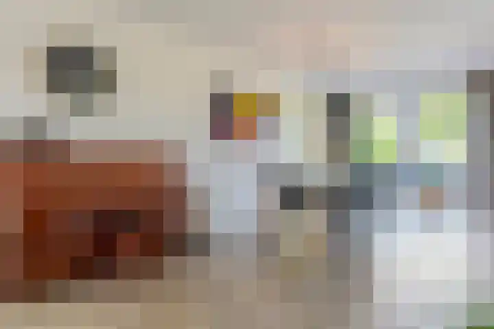 Jacob Katsstraat 11 Alteveer thumbnail 17